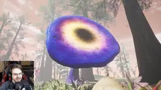 Lucid Cycle (Twitch Stream)