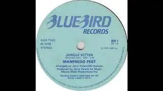 MANFREDO FEST  /  JUNGLE KITTEN