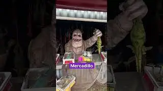 Puerto Espacial: La mejor exposici&oacute;n de Star Wars de Espa&ntilde;a, en Valladolid