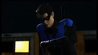 Nightwing: Patrol Knight