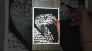 Realistic snake Drawing ✨ #art #snake #sketch #shorts