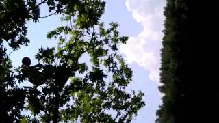 Bashkim myftari ...