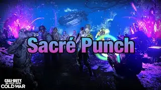 COMMENT AVOIR LE SACR&Eacute; PUNCH (Zombie Cold War)