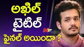 Akhil Akkineni Next Movie Title || Akhil Second Movie || NTV