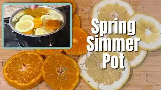 How to Make a Spring Simmer Pot #simmerpot #spring