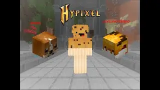 Leveling Golden Dragon and playing Bingo  (Hypixel Skyblock)