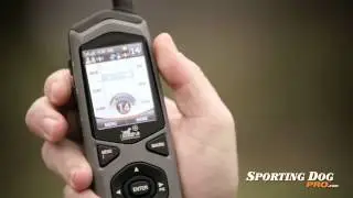 Характеристики и обзор Border Patrol TC1 от DE Systems - SportingDogPro.com