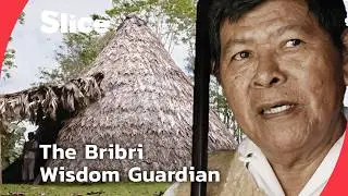 Awa: Keeper of the Bribri&rsquo;s Ancient Knowledge and Healing Traditions | SLICE