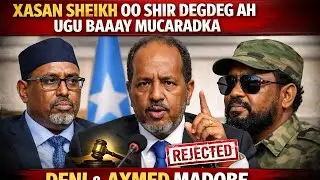 DEGDEG:XASAN SHEIKH WADAHADAL KU BAQAY &  DENI IYO AXMED MADOOBE ISKA DIIDAY.