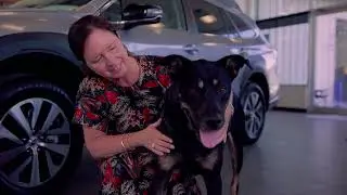 Parkway Subaru поддерживает приют для собак Paws Place Dog Rescue в рамках инициативы &laquo;Subaru Loves Pets&raquo;!