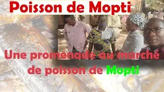 Une promenade dans le marché De Poissons De Mopti. C'est la cinquième région du Mali