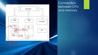 Basic Processing Unit