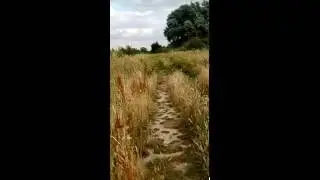 Bicycle Movie IG6 Fairlop Waters