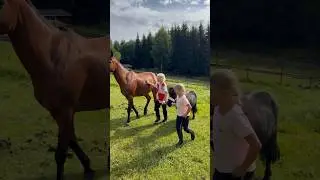 Living the dream life❤️ #shortsvideo #friends #horses #creator
