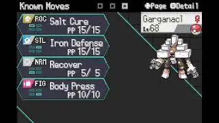 WEATHER ROUTE TIME - Radical Red 4.1 Nuzlocke - Run #2