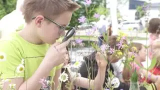 Dan očarljivih rastlin (Fascination of plants day)