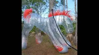 Night Fire the Transparent Inflatable Gothic Unicorn from Horseplay Toys