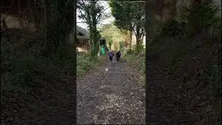 Walking with a Horse on a Muddy Path#horse #walking #nature #muddyPath