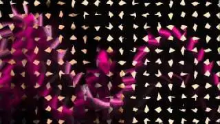 Lievatille stu penziero_0001.wmv