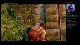 The last of us