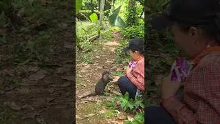 Siboni santai makan wiskas ll Relax while enjoying cat food #siboni #otter