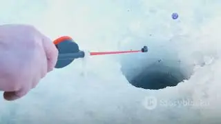 Fishing Techniques Around the World: A Global Journey