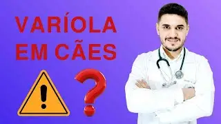 VAR&Iacute;OLA DOS MACACOS NOS PETS