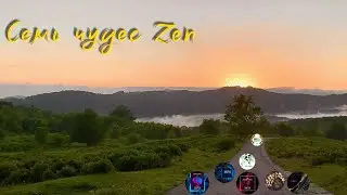 #знакомство с чайным проектом Zen tea | Премиальный сочинский чай