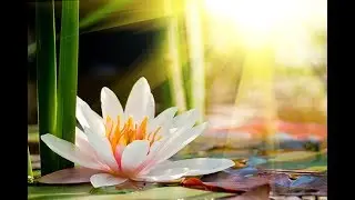 Affirmations for Loving Yourself