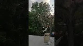 Hasretin Adı: Pınarbaşı (METMANIS) Mahallesi
