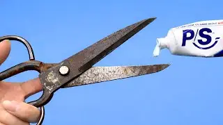 Миллиарды людей не знают этого секрета! Зубная паста затачивает ножницы лучше, чем точильный камень!