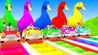 Long Slide Game With Cow Elephant Gorilla Hippopotamus Tiger 3d Animal Game Funny 3d Animals