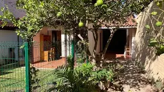 Spacefull Bungalow with lovely garden, Guadalajara, Mexico