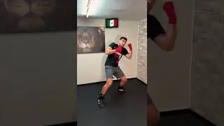 Welchen BOXSTIL magst du am meisten? 😃 #boxing #f&uuml;rdich #boxingtraining #fyp #viralshort #viral