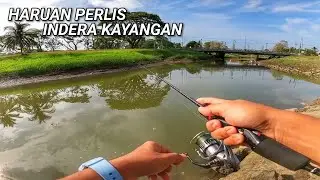 Homestay & Casting Haruan Perlis!