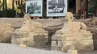 Dave in Egypt 115 19-12-2025