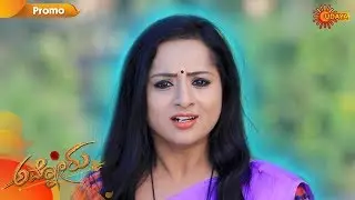 Ammanoru - Promo | 5th March 2020 | Udaya TV Serial | Kannada Serial