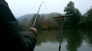 Zapadna morava ...fider i skobalj