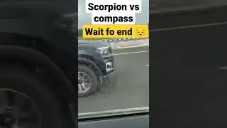 Scorpion vs jeep compass race 😱 #shorts