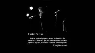 Farid Farjad - Canlı Performans(Robabeh Jaan)