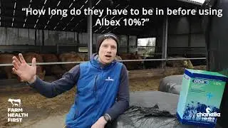 Your FAQs on Albex Answered - #sixtysecondsolutions