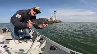 Inner And Outer Wall, Lower Delaware Bay, tog Fishing. Full Episode.