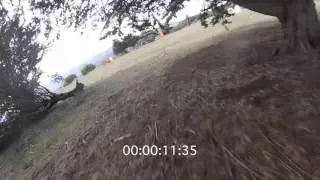 Impulse RC Alien 5