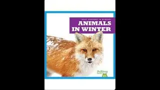 What Happens in Winter? Animals In Winter by Jennifer Fretland VanVoorst