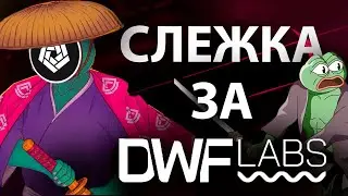 Слежка за Маркетмейкером DWF Labs: Как Найти Монеты для Роста на Бычьем Рынке