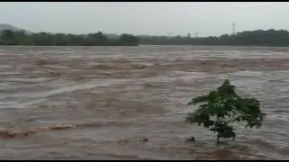 Bhatsa River Vasind