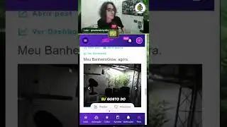 Cultivo incr&iacute;vel com kit suruma, mas pode melhorar! Pega essas dicas da nossa bancada!