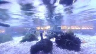 日海センター　水槽 or 駐車場の様子　ライブ