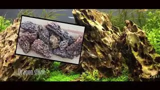Jenis-jenis batuan paling bagus untuk aquascape + contoh desainnya