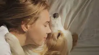 The Cozy Comforts of Co Sleeping with Dogs